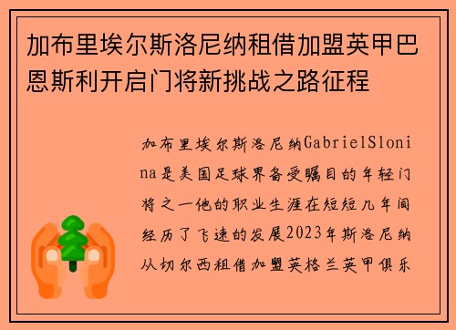 加布里埃尔斯洛尼纳租借加盟英甲巴恩斯利开启门将新挑战之路征程 加布里埃尔斯洛尼纳租借加盟英甲巴恩斯利开启门将新挑战之路征程